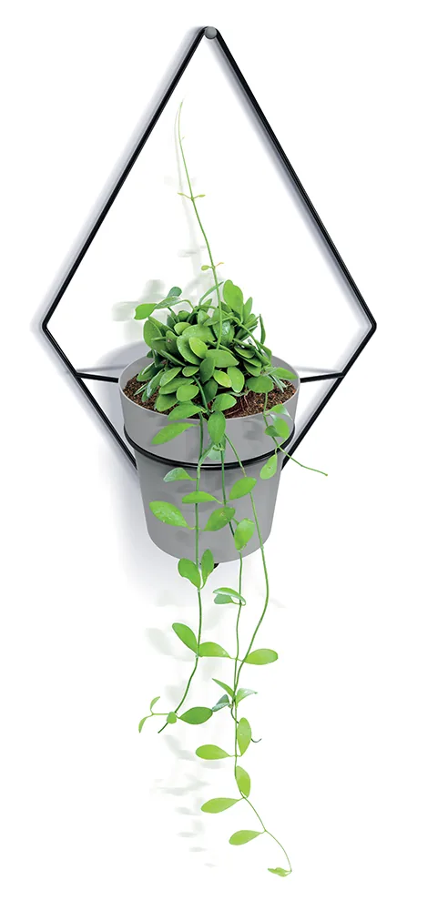 Oppheng IKSH1M Showy Hanger – svart — hovedbilde