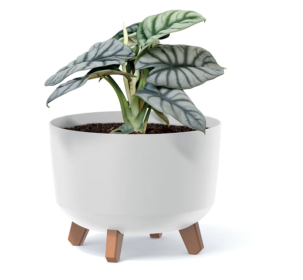 Plantepotte DGRL300 Gracia – hvit — hovedbilde