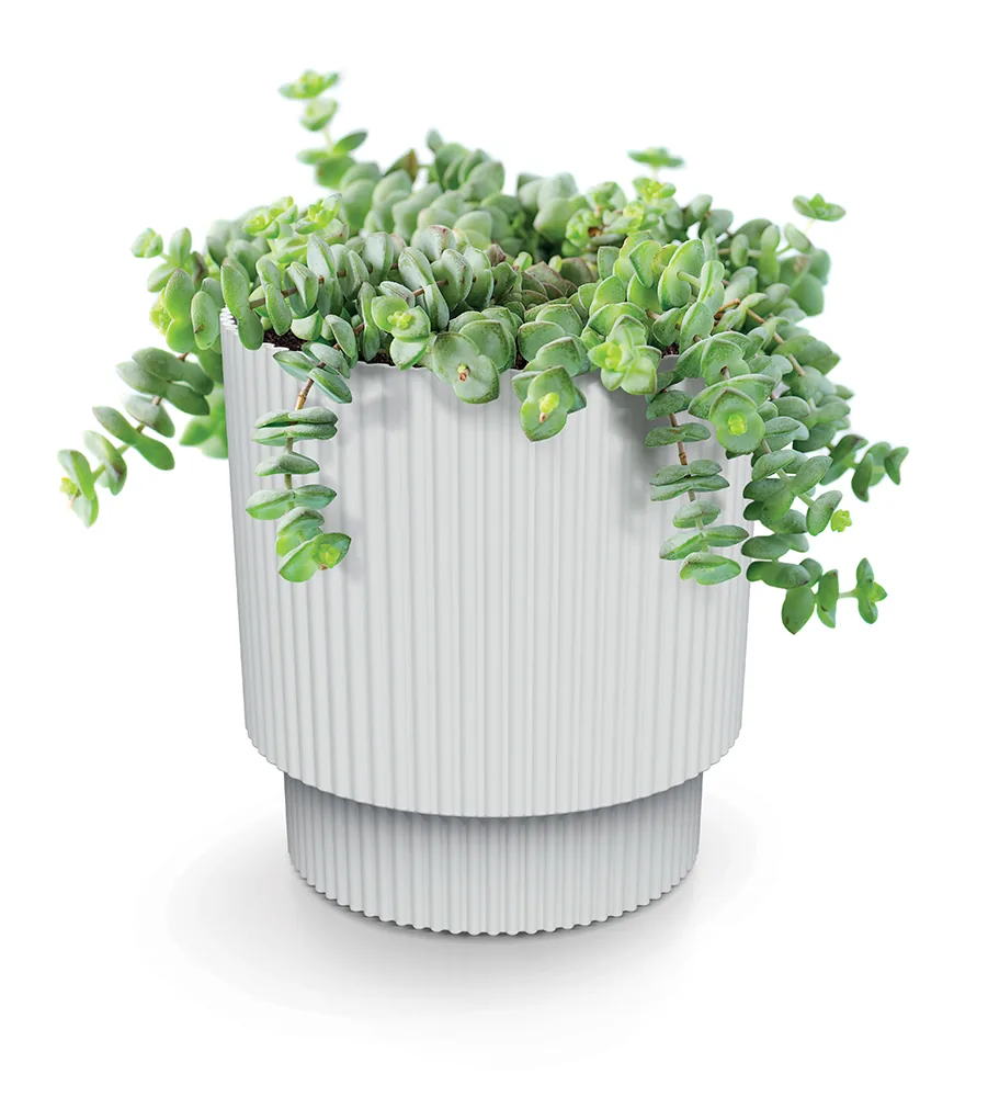 Plantepotte DMIN170 Milly Round – hvit — hovedbilde