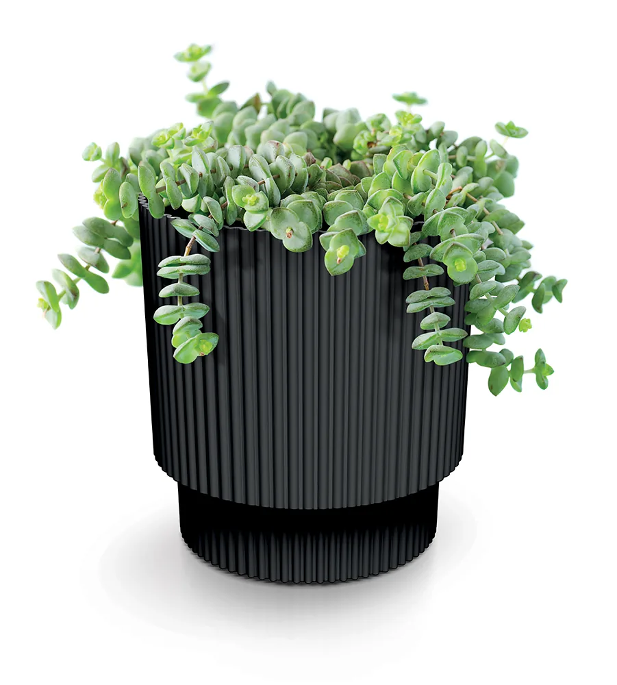 Plantepotte DMIN170 Milly Round – kull — hovedbilde