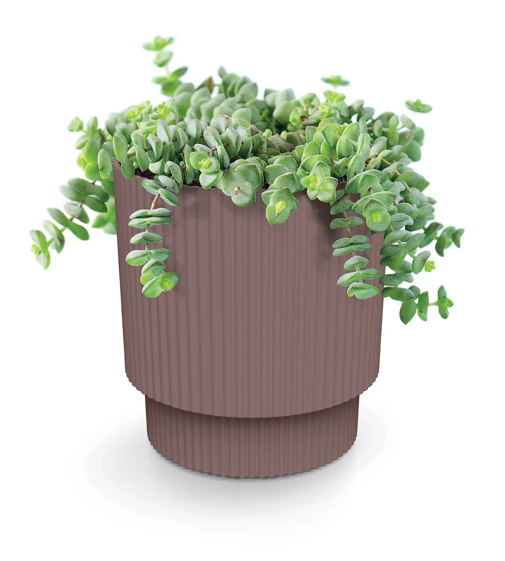 Plantepotte DMIN170 Milly Round – marsala — hovedbilde